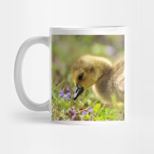 Cute Baby Goose in the Field Mug